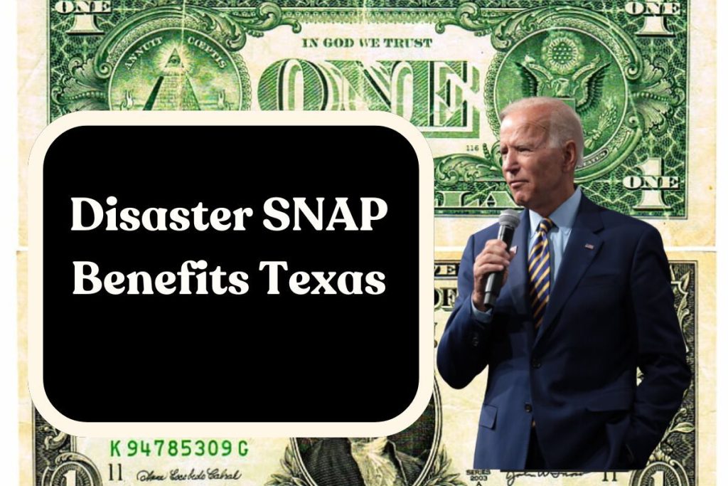 Disaster SNAP Benefits Texas