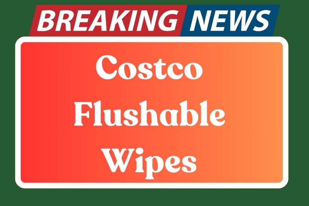 Costco Flushable Wipes