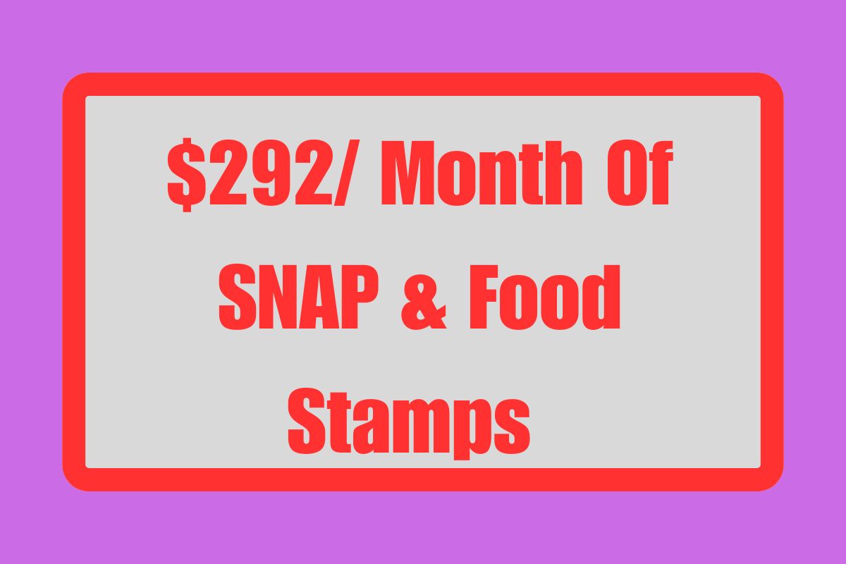 $292/ Month Of SNAP & Food Stamps