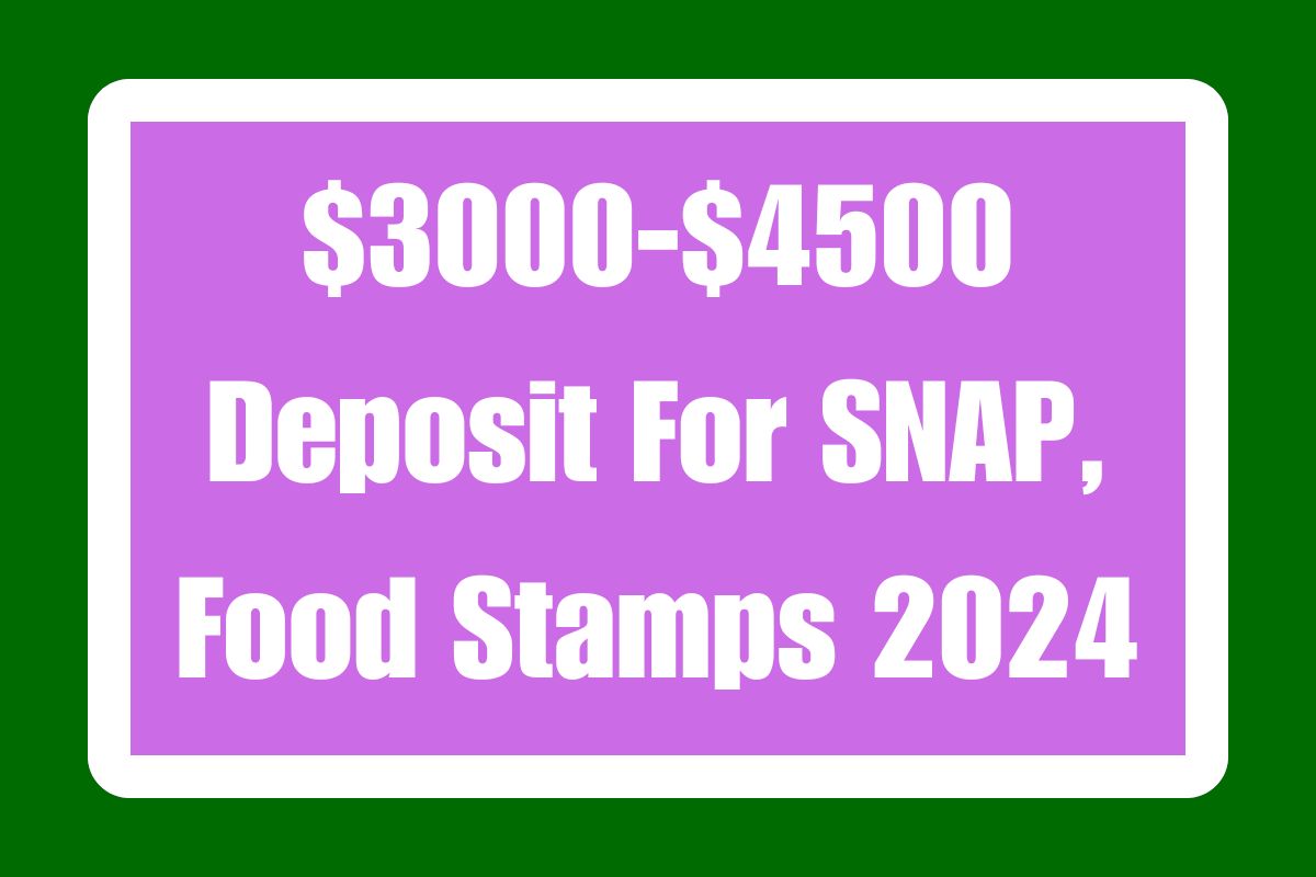 $3000-$4500 Deposit For SNAP, Food Stamps 2024